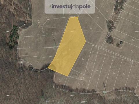 Prodej louky, Štěchovice - Masečín, 10399 m2
