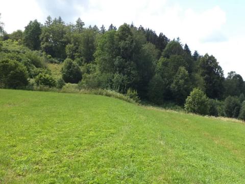 Dražba louky, Chotěvice, 3776 m2