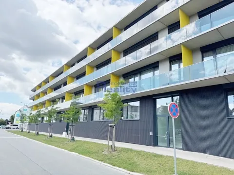 Pronájem bytu 1+kk, Hradec Králové, Pálenecká, 46 m2