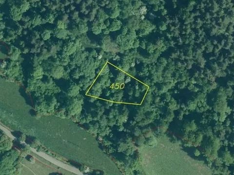 Dražba louky, Rejštejn, 1313 m2