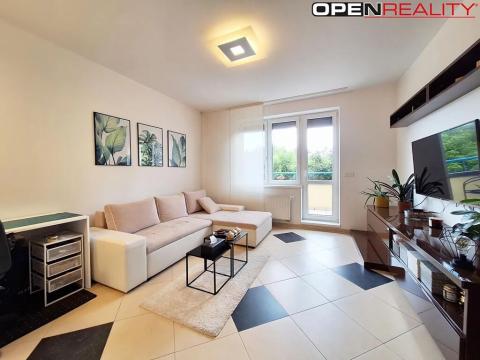 Pronájem bytu 2+kk, Brno, Místní, 45 m2