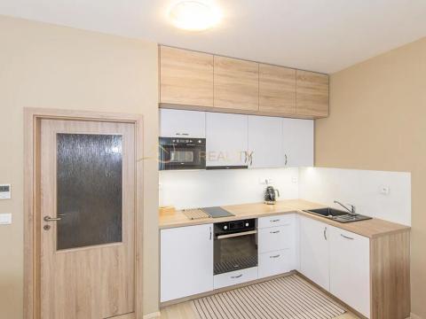 Pronájem bytu 1+kk, Olomouc, Wolkerova, 41 m2