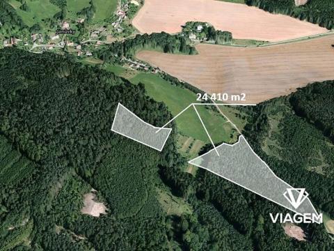 Prodej lesa, Březina, 24410 m2