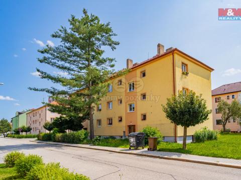 Prodej bytu 2+1, České Budějovice - České Budějovice 3, Čéčova, 52 m2