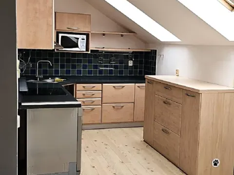 Pronájem bytu 4+kk, Tábor, U Jednoty, 130 m2