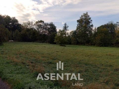 Prodej pozemku, Orlová - Poruba, Těšínská, 4096 m2