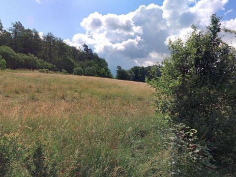 Prodej pole, Potštejn, 24941 m2