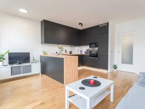 Prodej bytu 2+kk, Praha - Žižkov, Chlumova, 50 m2