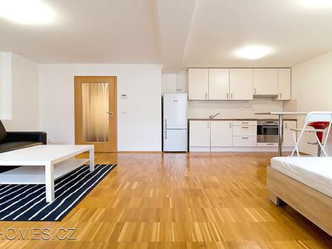 Pronájem bytu 1+kk, Praha - Žižkov, Jagellonská, 48 m2