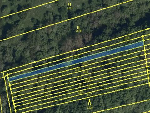 Prodej lesa, Drslavice, 295 m2