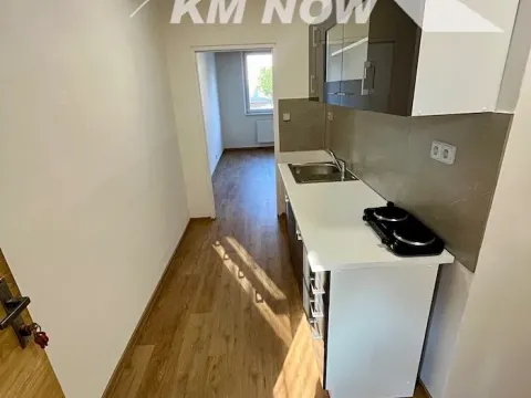 Pronájem bytu 1+kk, Kroměříž, Oskol, 29 m2
