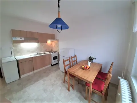 Pronájem bytu 1+1, Brno, Rerychova, 45 m2