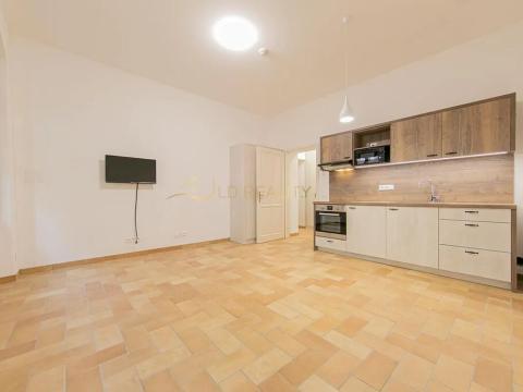 Pronájem bytu 1+kk, Olomouc, Šemberova, 30 m2