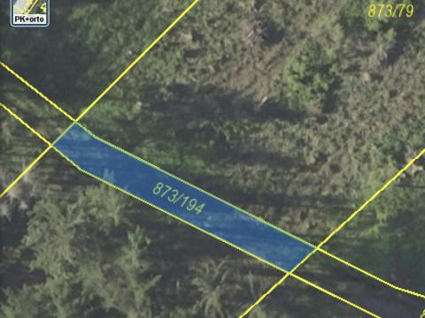 Prodej lesa, Kladruby, 222 m2