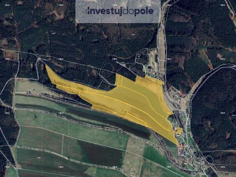 Prodej louky, Heřmánkovice, 181609 m2