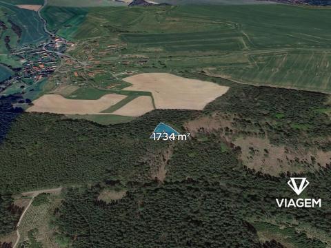 Prodej lesa, Oplany, 1734 m2