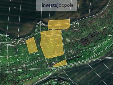 Prodej lesa, Budyně nad Ohří - Břežany nad Ohří, 3124 m2