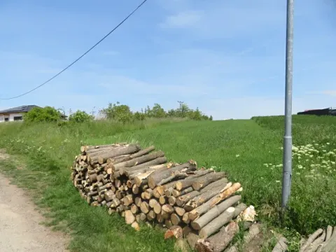 Dražba pole, Klobouky u Brna, 1664 m2