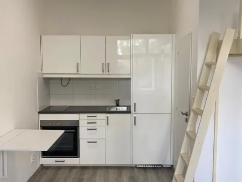 Pronájem bytu 1+kk, Praha - Nusle, Jaurisova, 25 m2