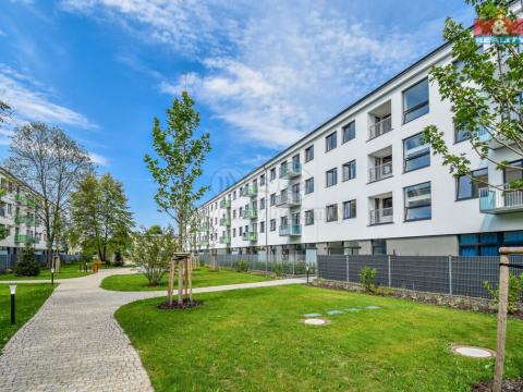 Pronájem bytu 2+kk, Ostrava - Hrabůvka, Hasičská, 54 m2