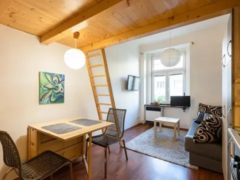 Pronájem bytu 1+kk, Praha - Podolí, Na Zlatnici, 26 m2