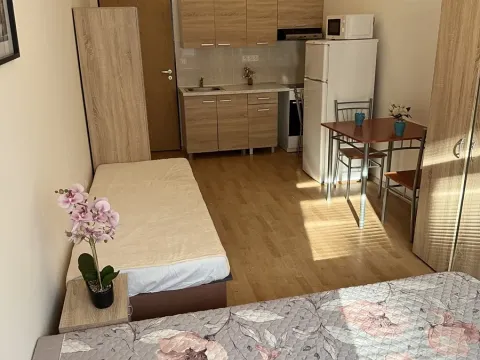 Pronájem bytu 1+kk, Plzeň, Nepomucká, 26 m2