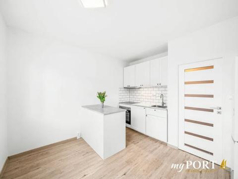 Pronájem bytu 1+1, Horní Bříza, Komenského, 39 m2
