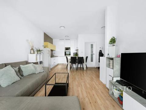 Pronájem bytu 2+kk, Brno, Řípská, 59 m2