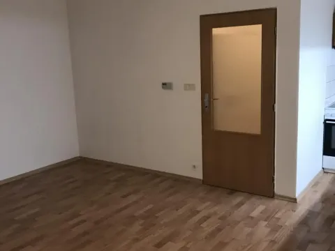 Pronájem bytu 1+kk, Praha - Vysočany, Na Harfě, 25 m2