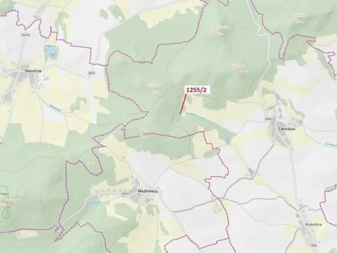 Dražba lesa, Černíkov, 903 m2