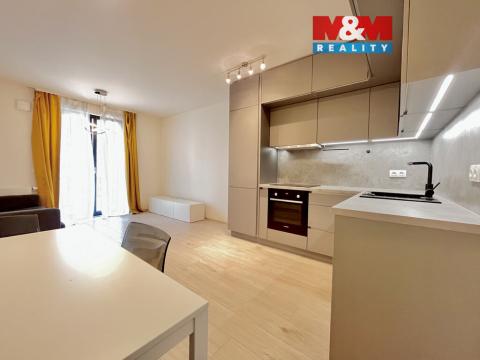 Pronájem bytu 2+kk, Praha, Hartigova, 47 m2