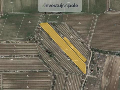 Prodej pole, Sedlec, 6224 m2