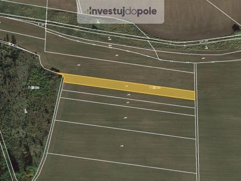 Prodej pole, Čistá, 1420 m2