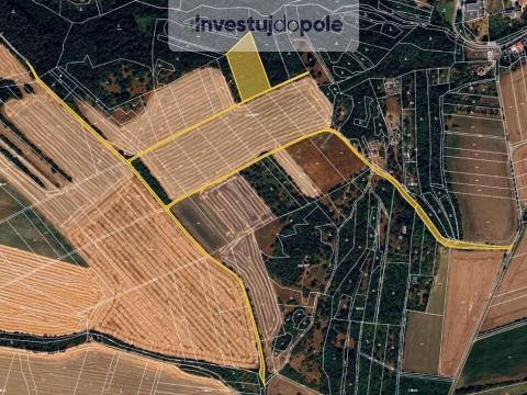 Prodej pozemku, Slatinice, 2433 m2