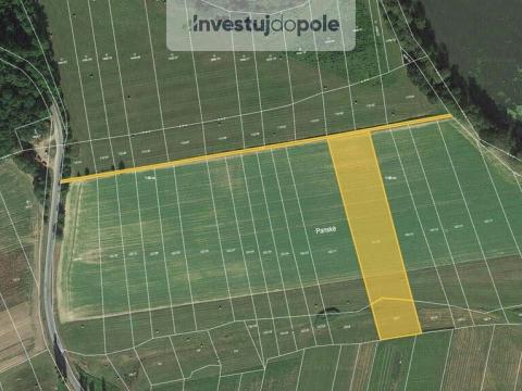 Prodej pole, Neurazy - Vojovice, 3000 m2