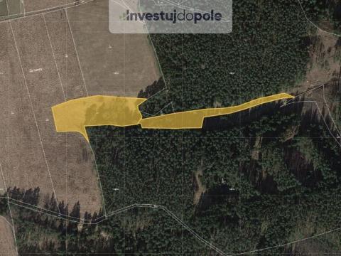 Prodej louky, Planá - Svahy, 17895 m2