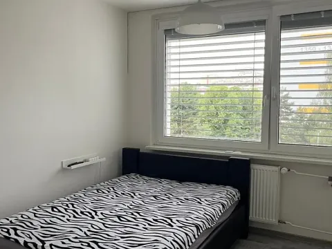 Pronájem pokoje, Praha - Řepy, Mrkvičkova, 19 m2