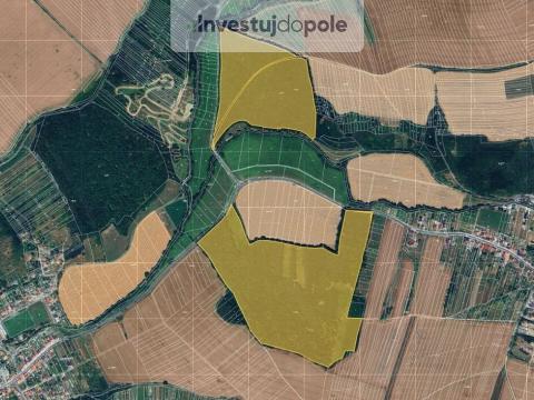 Prodej lesa, Částkov, 2390 m2
