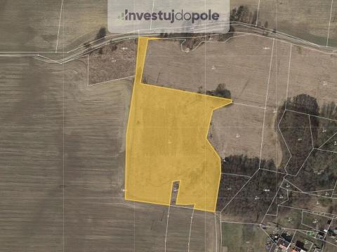 Prodej louky, Trstěnice, 19608 m2