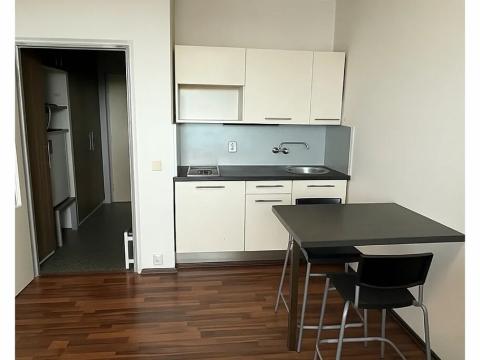 Pronájem bytu 1+kk, Brno, Halasovo náměstí, 24 m2