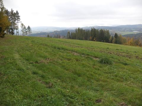 Prodej pole, Vlastiboř, 23043 m2
