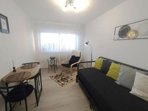Pronájem bytu 1+kk, Brno, Brigádnická, 20 m2