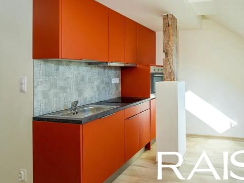 Prodej bytu 2+kk, Brno, Bašty, 55 m2