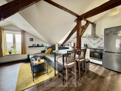 Pronájem bytu 3+kk, Brno, Výpravní, 100 m2