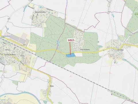 Dražba lesa, Dašice, 12534 m2