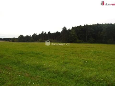 Prodej pole, Benátky nad Jizerou, Pražská, 6490 m2