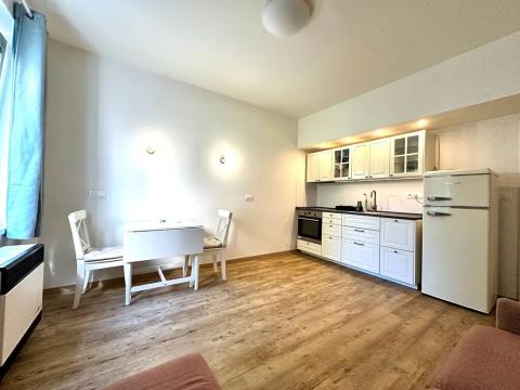 Pronájem bytu 1+1, Praha - Žižkov, Viklefova, 38 m2