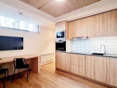 Pronájem bytu 1+kk, Brno, V rejích, 21 m2