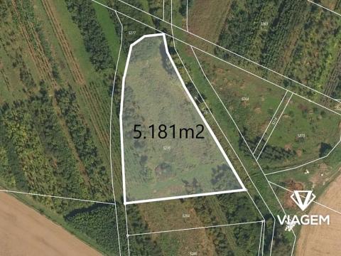 Prodej pole, Třebařov, 5181 m2