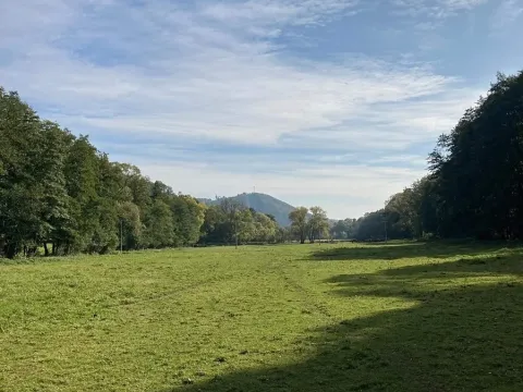 Prodej louky, Račice-Pístovice, 1784 m2